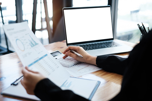 預(yù)算監(jiān)控與調(diào)整機(jī)制如何建立，確保預(yù)算執(zhí)行到位？