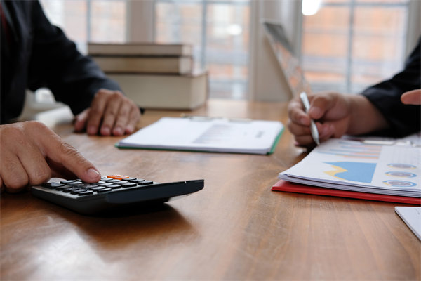 預(yù)算管理系統(tǒng)中，如何平衡自動(dòng)化與人工審核的利弊？