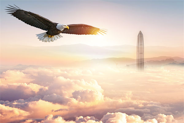 企業(yè)文化與企業(yè)管理如何協(xié)同，推動(dòng)企業(yè)持續(xù)發(fā)展？