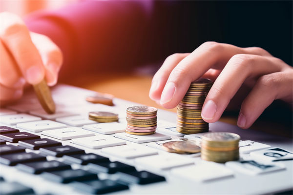 預(yù)算分析過(guò)程中，如何識(shí)別并糾正數(shù)據(jù)偏差，確保準(zhǔn)確性？