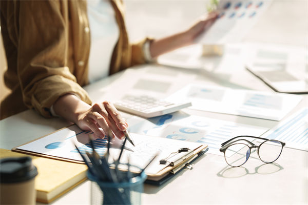 在預(yù)算執(zhí)行中，如何確保監(jiān)控與調(diào)整機(jī)制的有效性？