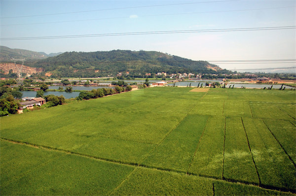 清遠(yuǎn)營銷咨詢公司如何精準(zhǔn)定位企業(yè)目標(biāo)市場(chǎng)？