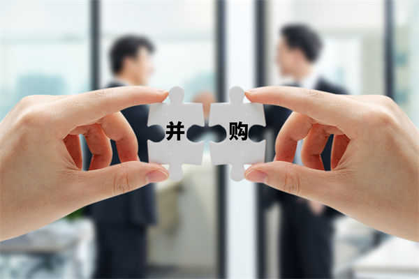 如何通過并購整合戰(zhàn)略實(shí)現(xiàn)資源優(yōu)化與企業(yè)快速擴(kuò)張？