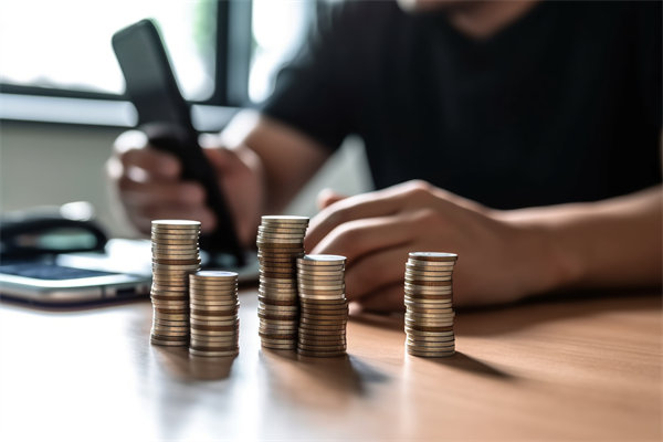 預算過程監(jiān)管缺，如何有效強化預算全程的管控力度？