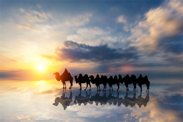 戰(zhàn)略與文化脫節(jié)，企業(yè)理念如何落地支撐發(fā)展？