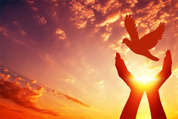 別讓盲卡盲盒“收割”孩子，關(guān)聯(lián)企業(yè)戰(zhàn)略怎么看？