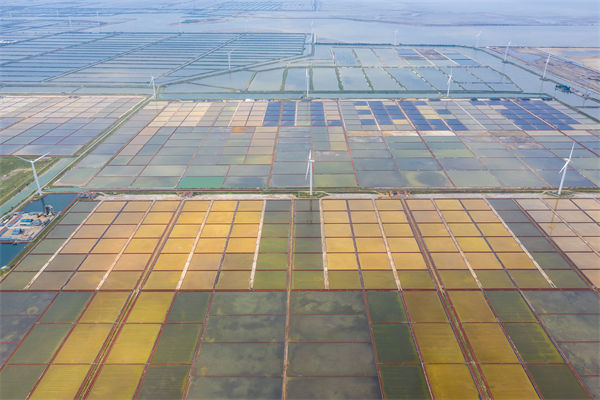 濰坊集團(tuán)子公司失控內(nèi)耗嚴(yán)重，濰坊集團(tuán)管控咨詢公司如何重構(gòu)權(quán)責(zé)體系？