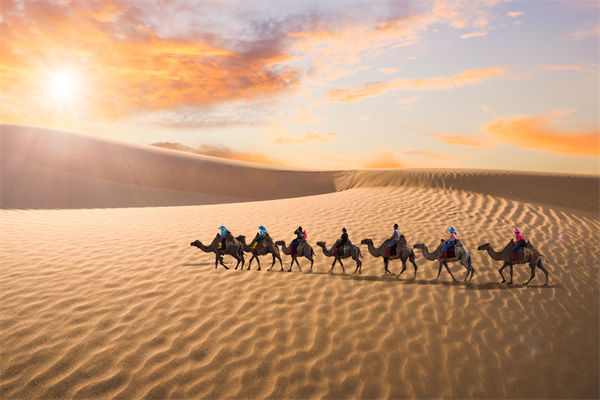 企業(yè)文化管理失效？這三大認(rèn)知誤區(qū)為何拖垮團(tuán)隊(duì)？