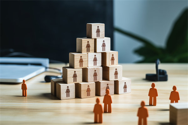 人力資源咨詢公司哪家好，適配企業(yè)戰(zhàn)略搭人才梯隊(duì)的