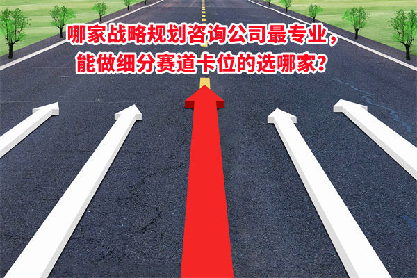 哪家戰(zhàn)略規(guī)劃咨詢公司最專業(yè)，能做細(xì)分賽道卡位的選哪家？