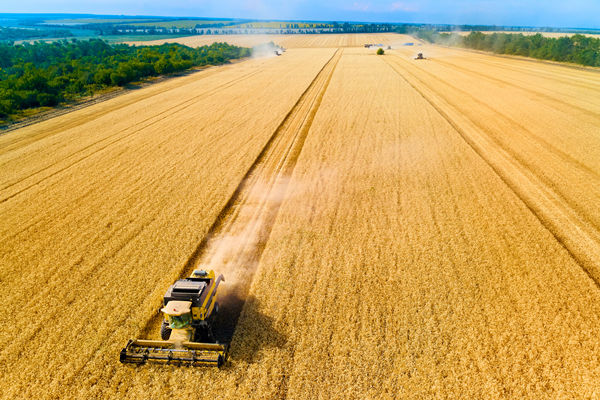 農(nóng)業(yè)行業(yè)供應(yīng)鏈管理咨詢公司推薦，能解農(nóng)資采購成本高問題嗎？