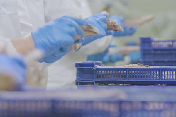 本土駐廠精益生產咨詢哪家強，能快速提升產線流轉效率么？